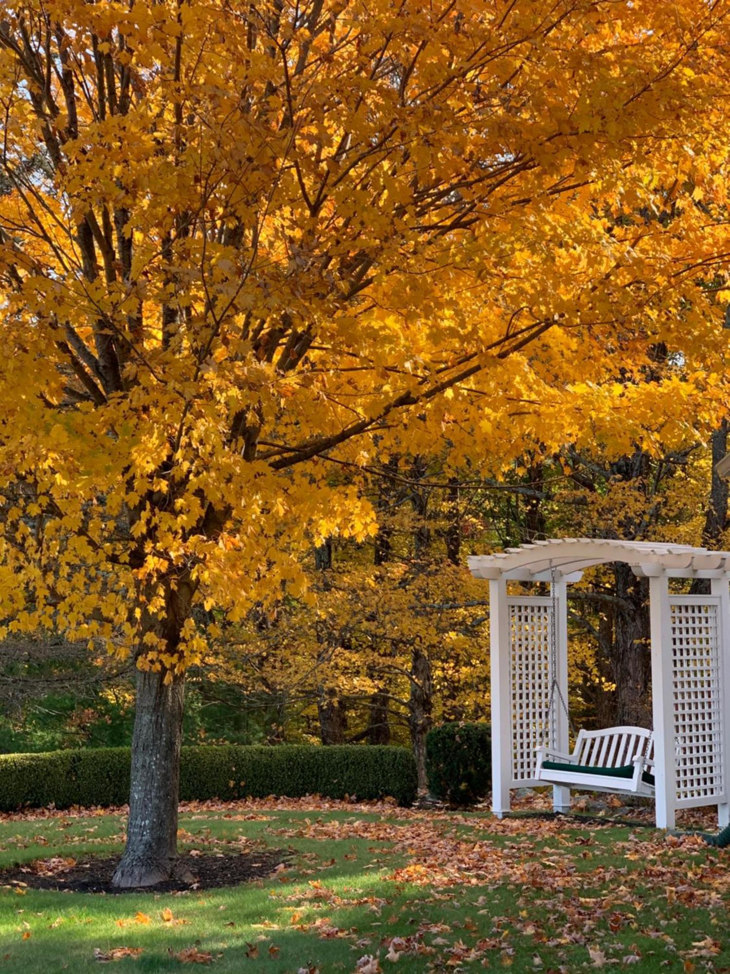 Maguire House Bed And Breakfast Ashburnham Exterior foto